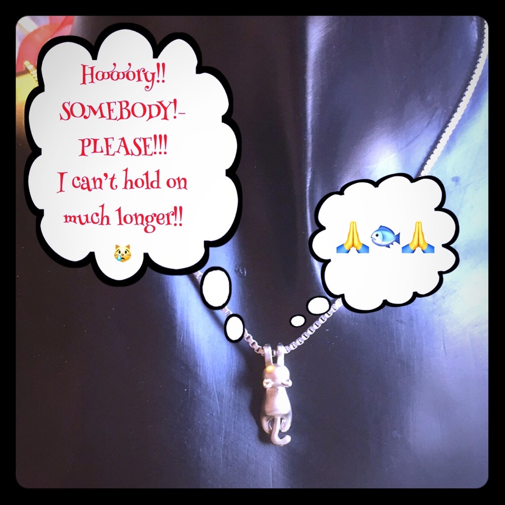 NWT Trapeze Kitty Necklace!